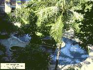 Hard_Rock_Hotel_Bali